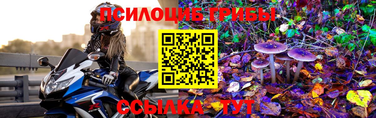 Галлюциногенные грибы Magic Shrooms  Галлюциногенные грибы мицелий  Новоалександровск  Вход с VPN 