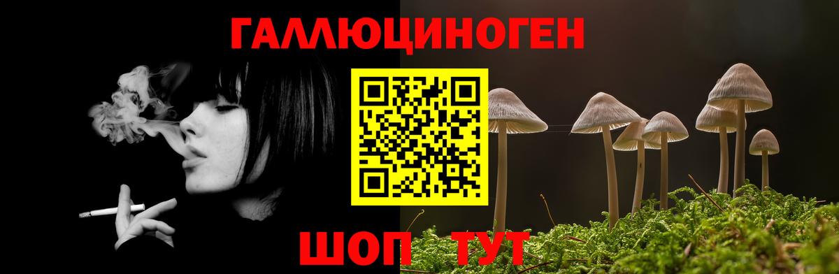 Галлюциногенные грибы MAGIC MUSHROOMS Новоалександровск